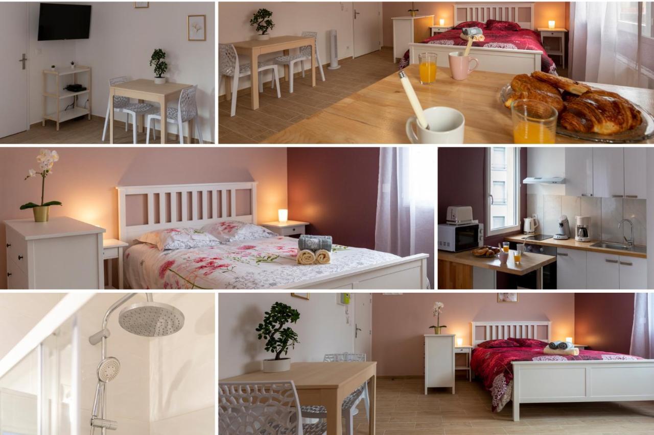 Loc Trotteur Le Pivoine Studio Grand Confort, Gare Sncf De Lourdes Dış mekan fotoğraf